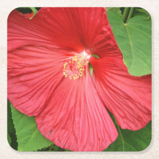 Posavasos Cuadrado De Papel Flor de Hibiscus brillante flor magenta
