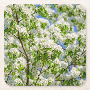 Posavasos Cuadrado De Papel Flor de manzana de cangrejo