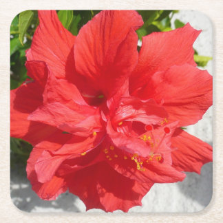 Posavasos Cuadrado De Papel Flor doble roja hibiscus