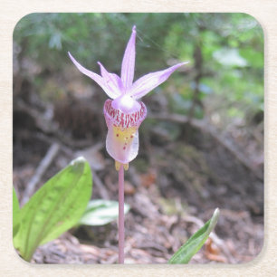 Posavasos Cuadrado De Papel Flor Orquídea