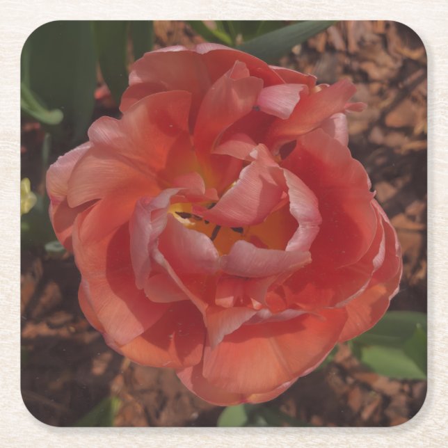 Posavasos Cuadrado De Papel flor roja (Anverso)