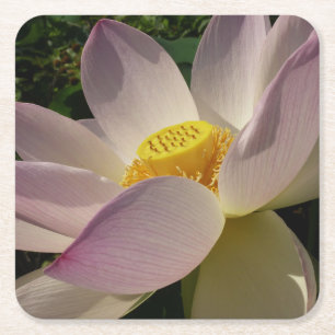 Posavasos Cuadrado De Papel Flor rosa Lotus III flor de verano