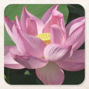 Posavasos Cuadrado De Papel Flor rosa Lotus IV