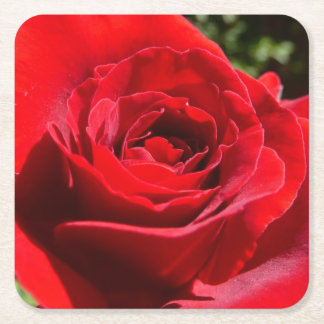 Posavasos Cuadrado De Papel Flor rosa roja brillante hermosa flor