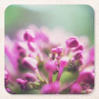 Posavasos Cuadrado De Papel Flor rosa vintage macro bokeh
