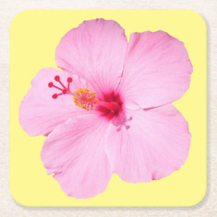 Posavasos Cuadrado De Papel Flor tropical Hibiscus rosa
