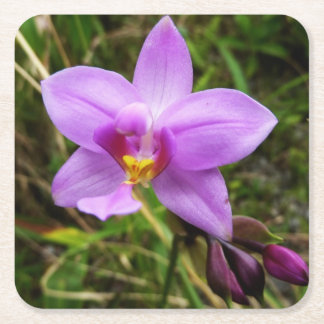 Posavasos Cuadrado De Papel Flor tropical púrpura de orquídea salvaje