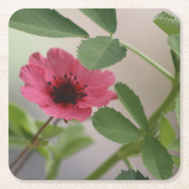 Posavasos Cuadrado De Papel Flora rosa