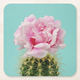 Posavasos Cuadrado De Papel Floración rosada encima del cactus de punta