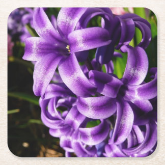 Posavasos Cuadrado De Papel Floral de primavera azul Hyacinin II