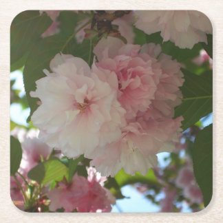 Posavasos Cuadrado De Papel Floral de primavera del árbol de cerezo doble flor