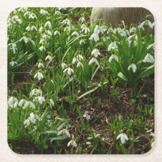 Posavasos Cuadrado De Papel Floral de primavera (Galanthus)