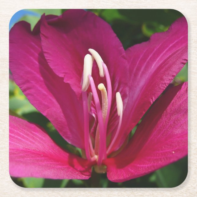 Posavasos Cuadrado De Papel Floral tropical (Anverso)