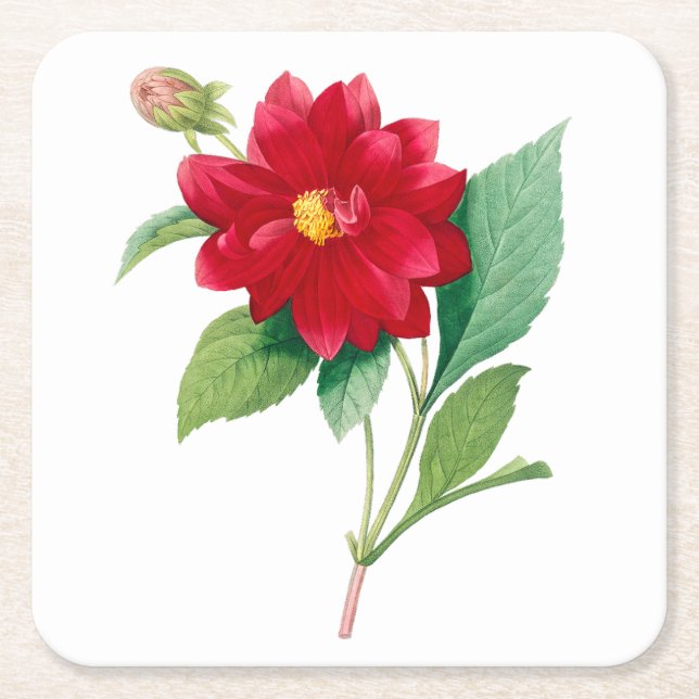 Posavasos Cuadrado De Papel Flores: A010 Dhalia Doble - (Anverso)