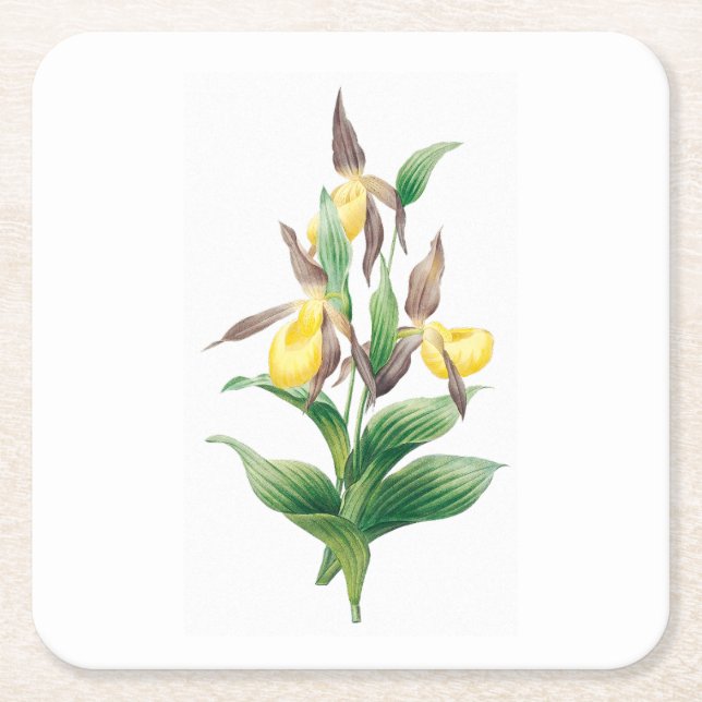 Posavasos Cuadrado De Papel Flores: A011 Yellow Lady Slipper - (Anverso)