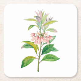 Posavasos Cuadrado De Papel Flores: A013 Redvein Enkianthus -