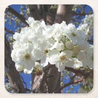 Posavasos Cuadrado De Papel Flores blancas II Árbol de flores primavera
