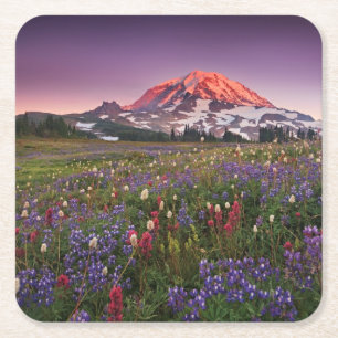 Posavasos Cuadrado De Papel Flores coloridas en un parque nacional más