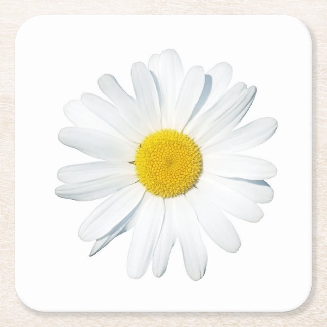 Posavasos Cuadrado De Papel Flores | Daisy único (Anverso)