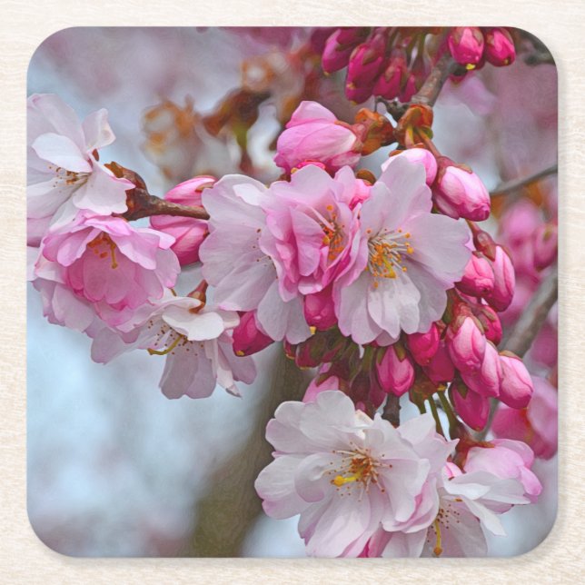 Posavasos Cuadrado De Papel Flores de cerezo rosa (Anverso)