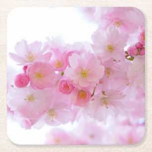 Posavasos Cuadrado De Papel Flores de cerezo rosa pálido