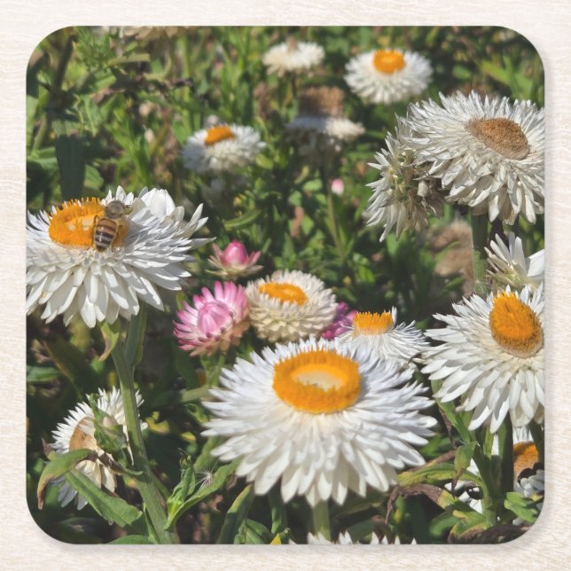 Posavasos Cuadrado De Papel Flores de fresa (Anverso)