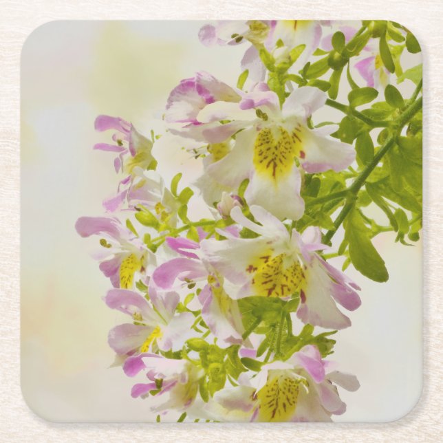 Posavasos Cuadrado De Papel Flores de mariposa (Anverso)