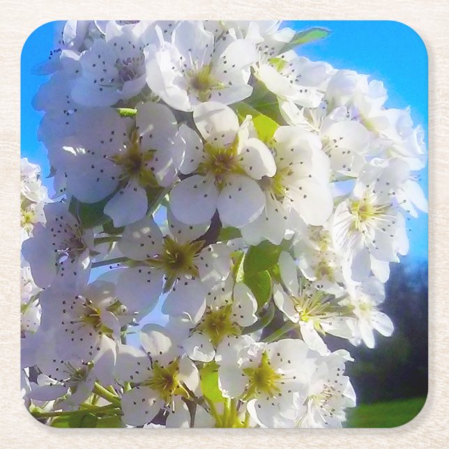 Posavasos Cuadrado De Papel Flores de oído (Anverso)