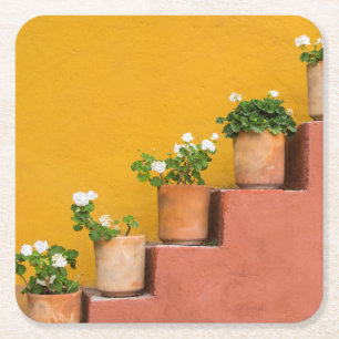 Posavasos Cuadrado De Papel Flores en macetas en la escalera