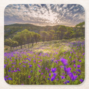 Posavasos Cuadrado De Papel Flores   Flinders Ranges Australia