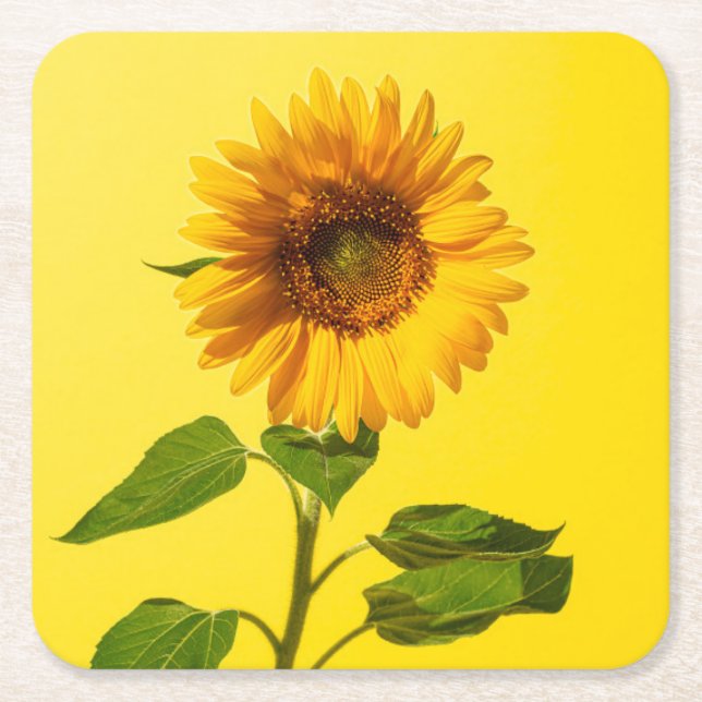 Posavasos Cuadrado De Papel Flores | Girasol amarillo (Anverso)