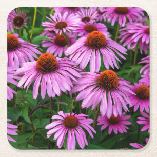 Posavasos Cuadrado De Papel Flores Jardín de flores rosadas