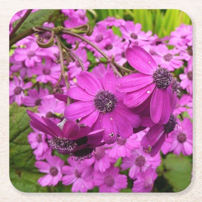 Posavasos Cuadrado De Papel Flores moradas de San Francisco (Anverso)