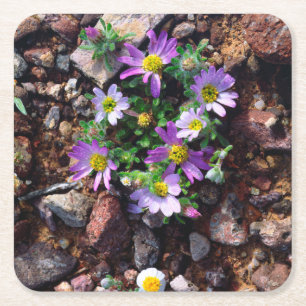 Posavasos Cuadrado De Papel Flores silvestres