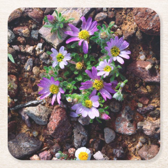 Posavasos Cuadrado De Papel Flores silvestres (Anverso)