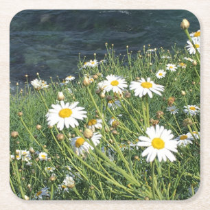 Posavasos Cuadrado De Papel Flores silvestres, cala de La Jolla, CA