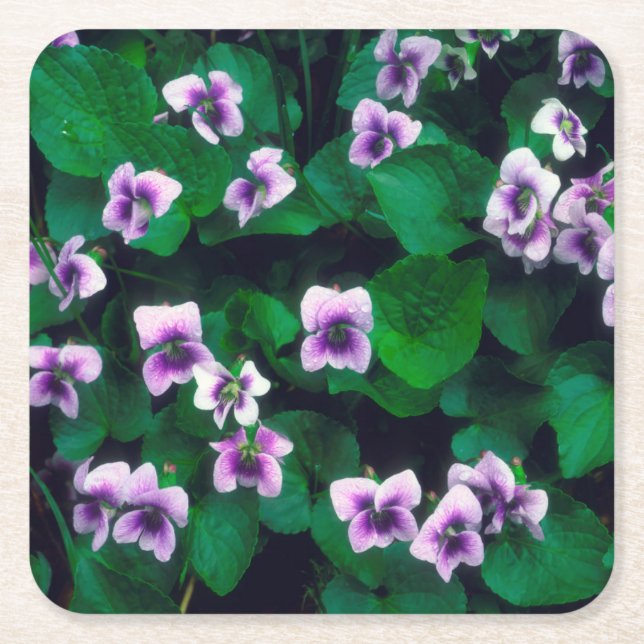 Posavasos Cuadrado De Papel Flores silvestres en el bosque (Anverso)