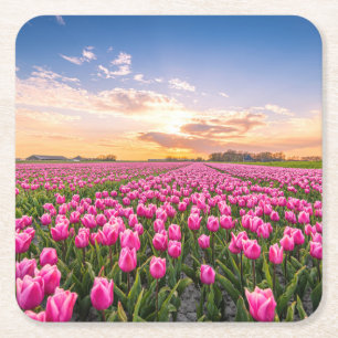 Posavasos Cuadrado De Papel Flores   Tulips, Holanda del Sur, Países Bajos