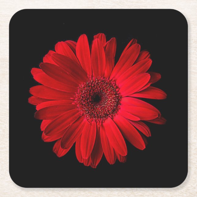 Posavasos Cuadrado De Papel Flowers | Red Gerbera Daisy (Anverso)