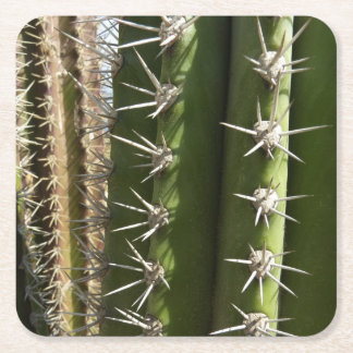 Posavasos Cuadrado De Papel Foto de Cactus de Barril II Desierto Natural