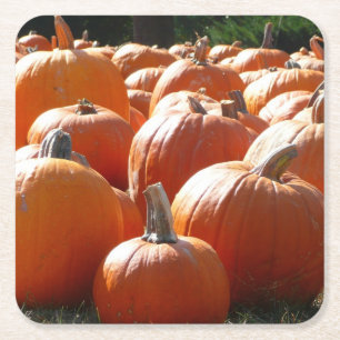 Posavasos Cuadrado De Papel Foto de calabazas para otoño, Halloween o Día de A