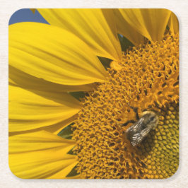 Posavasos Cuadrado De Papel Foto de girasol Abeja de verano Botánica