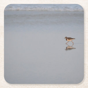 Posavasos Cuadrado De Papel Foto de la costa de la playa de Sandpiper Bird Bea