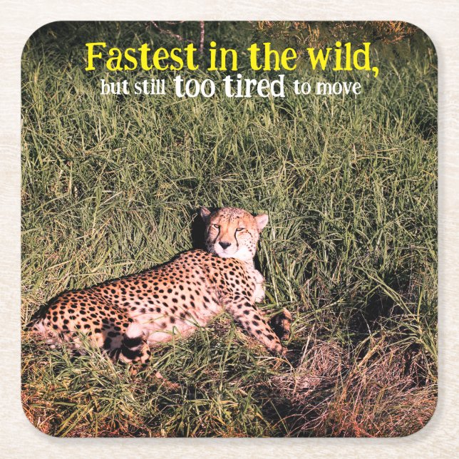 Posavasos Cuadrado De Papel Foto de Lazy Chetah (Anverso)