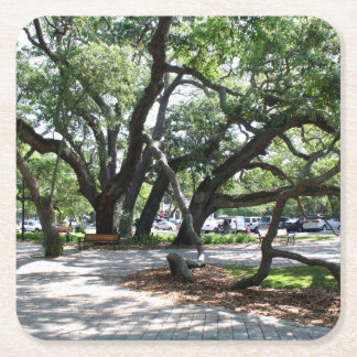 Posavasos Cuadrado De Papel Foto de roble de St Simons Island GA Wandering