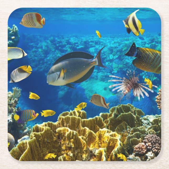 Posavasos Cuadrado De Papel Foto de un pescado tropical en un arrecife de (Anverso)