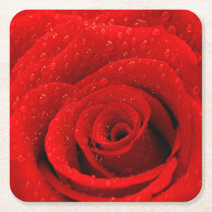 Posavasos Cuadrado De Papel Foto del fondo del rosa rojo