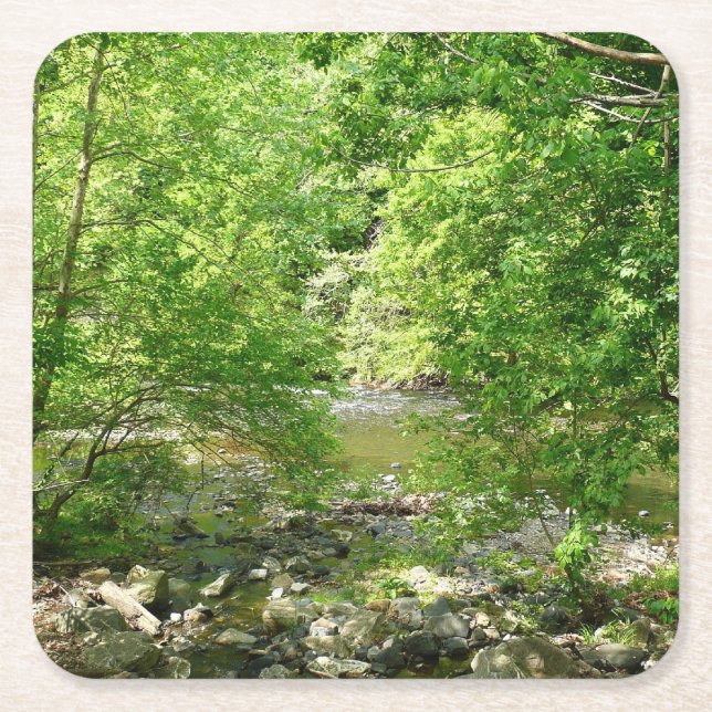 Posavasos Cuadrado De Papel Fotografía de la naturaleza de Maryland con vistas (Anverso)