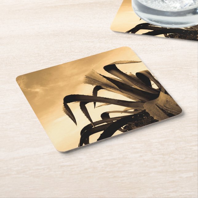 Posavasos Cuadrado De Papel Fotografía de la planta de aloe española de Sepia (En perspectiva)