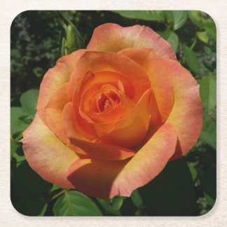 Posavasos Cuadrado De Papel Fotografía de Peach Rosa Naranja Floral
